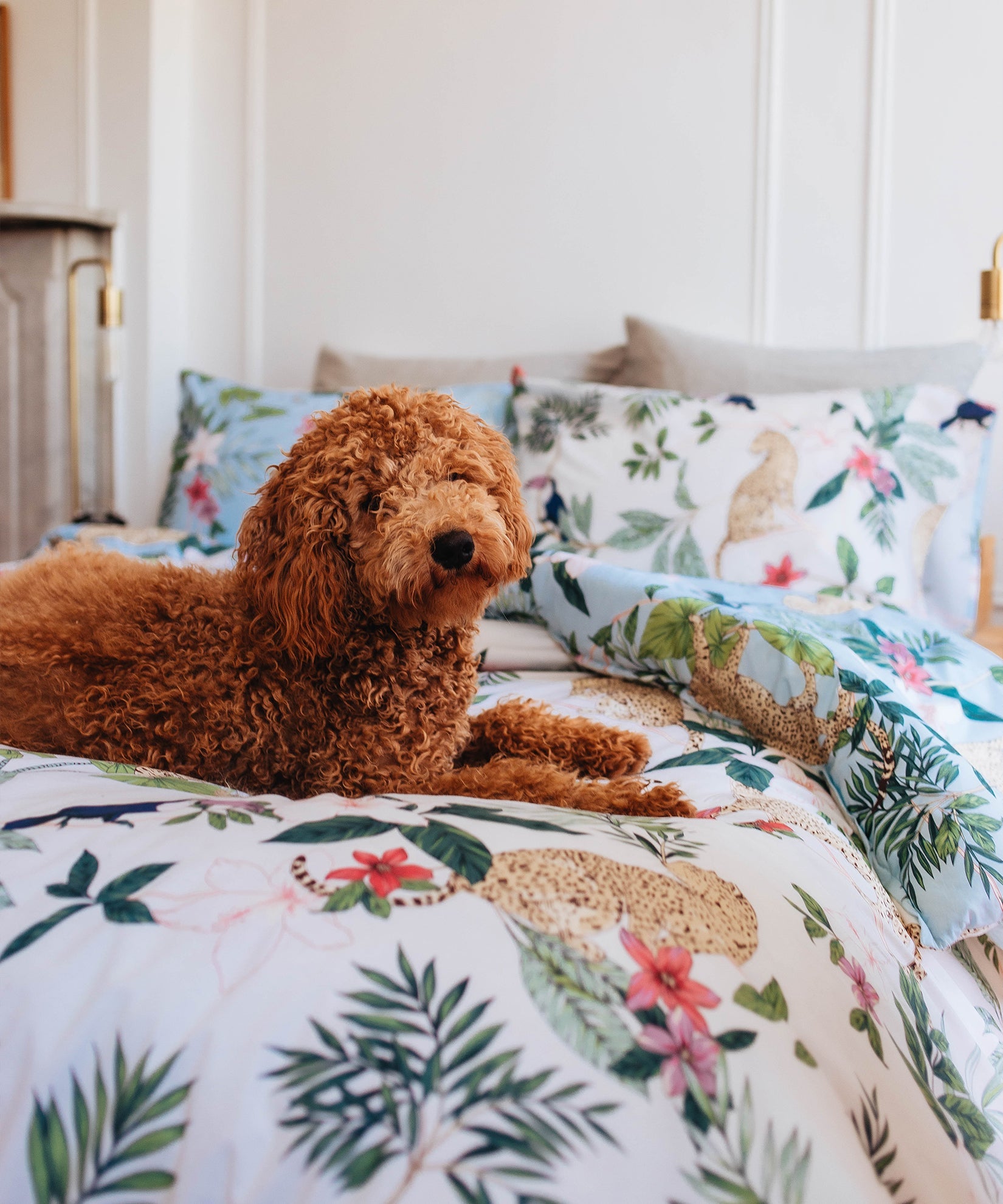 Animal Kingdom Reversible Comforter Set